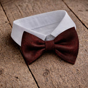 Fliege F02 Atelier Treger 