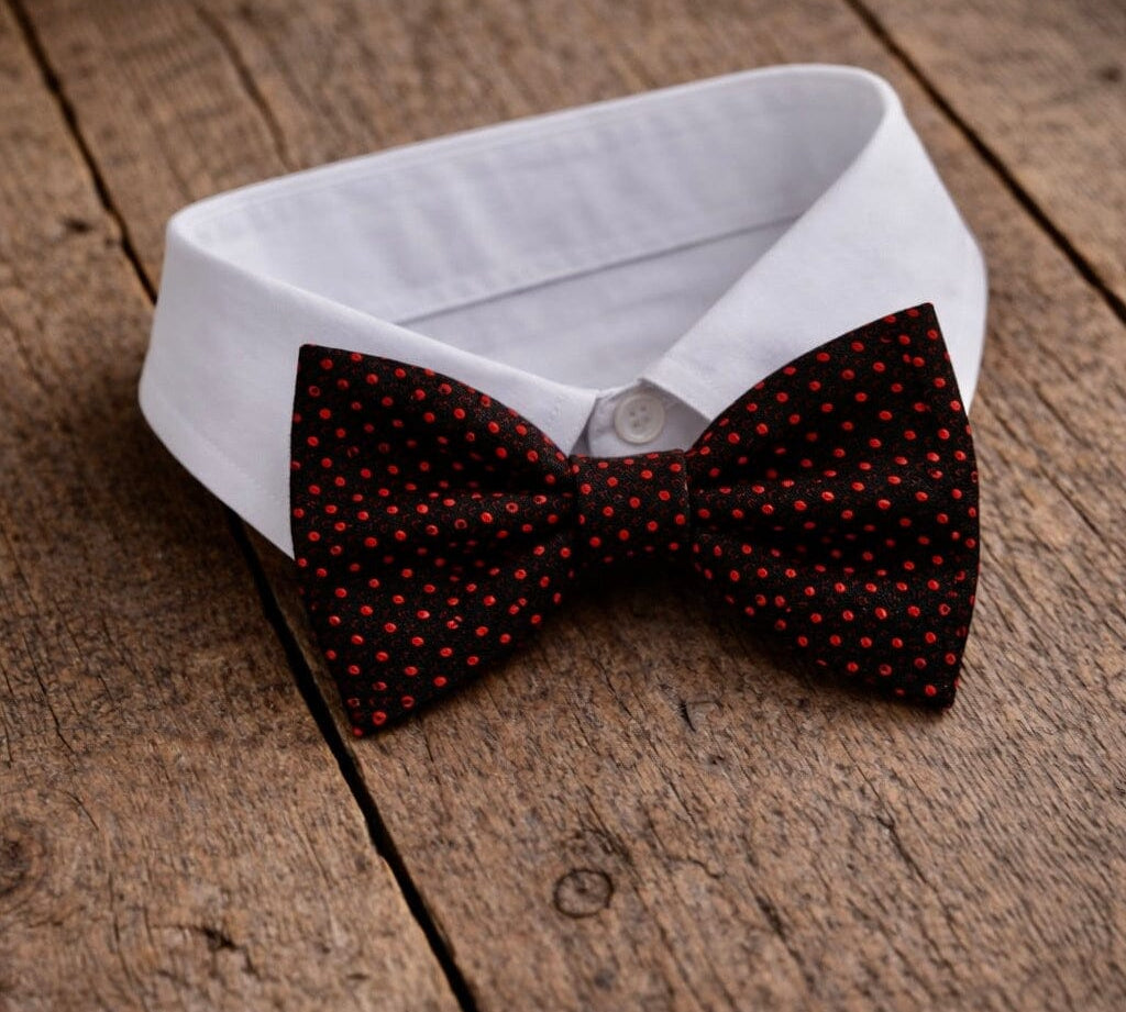 Fliege F04 Fliegen Atelier Treger 