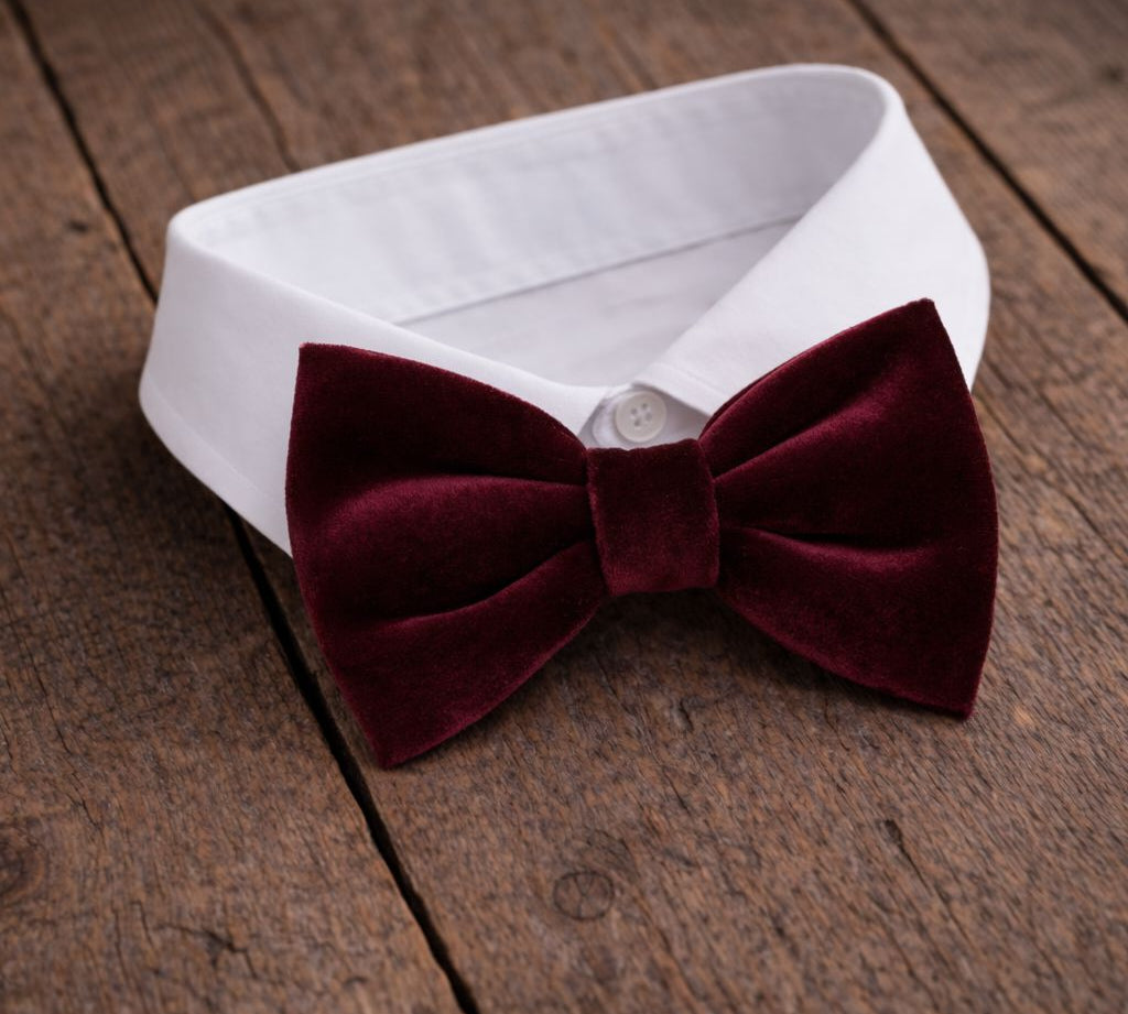 Fliege F06 Fliegen Atelier Treger 