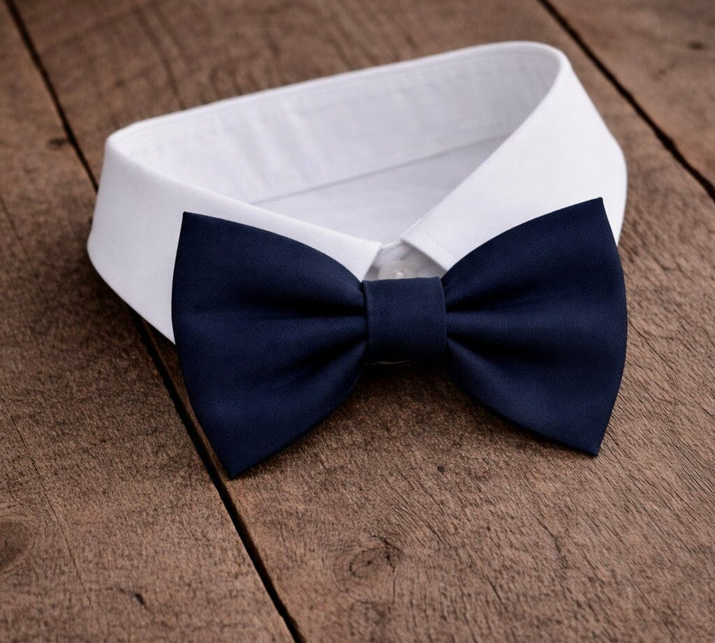 Fliege F11 Fliegen Atelier Treger 