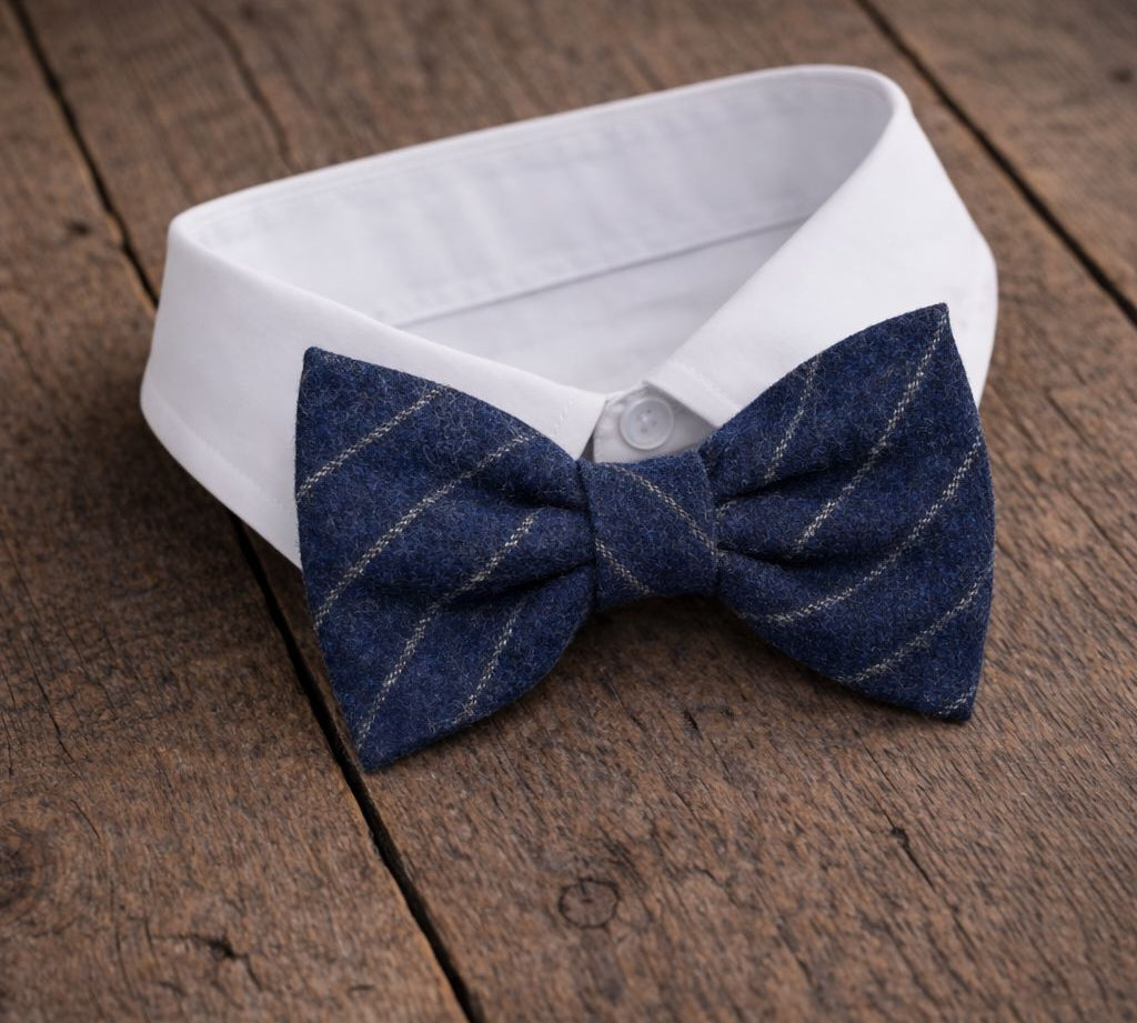 Fliege F17 Fliegen Atelier Treger 