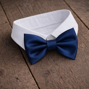 Fliege F21 Fliegen Atelier Treger 