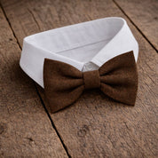 Fliege F22 Fliegen Atelier Treger 