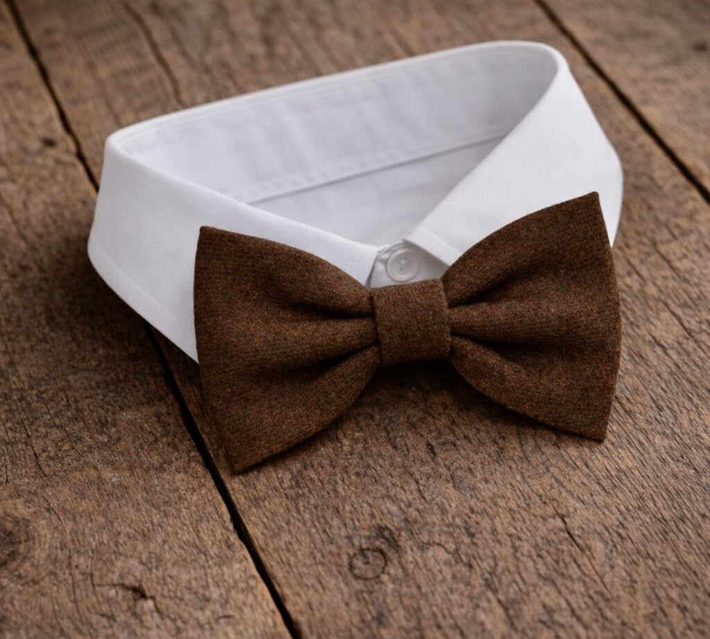 Fliege F22 Fliegen Atelier Treger 