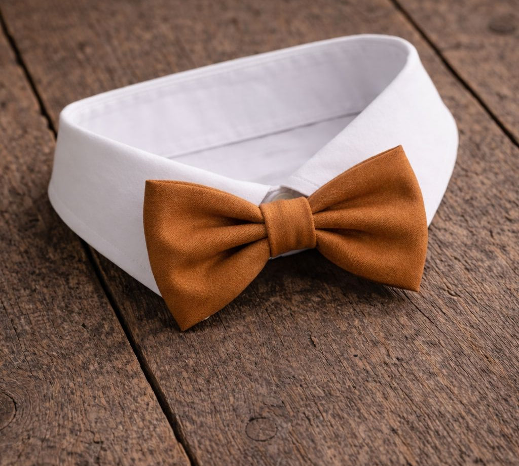 Fliege F23 Fliegen Atelier Treger 