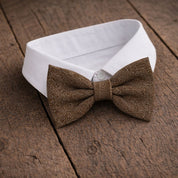 Fliege F27 Atelier Treger 