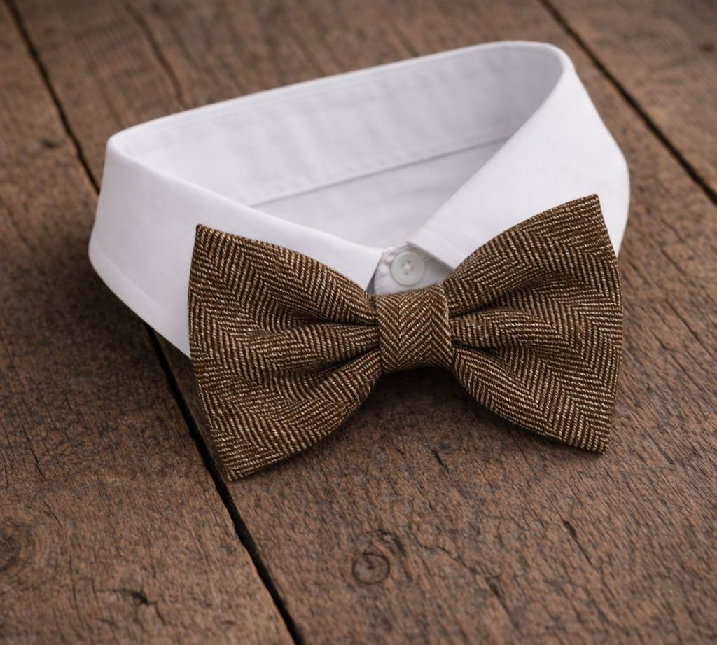 Fliege F27 Atelier Treger 