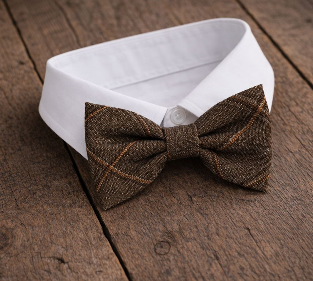 Fliege F30 Atelier Treger 