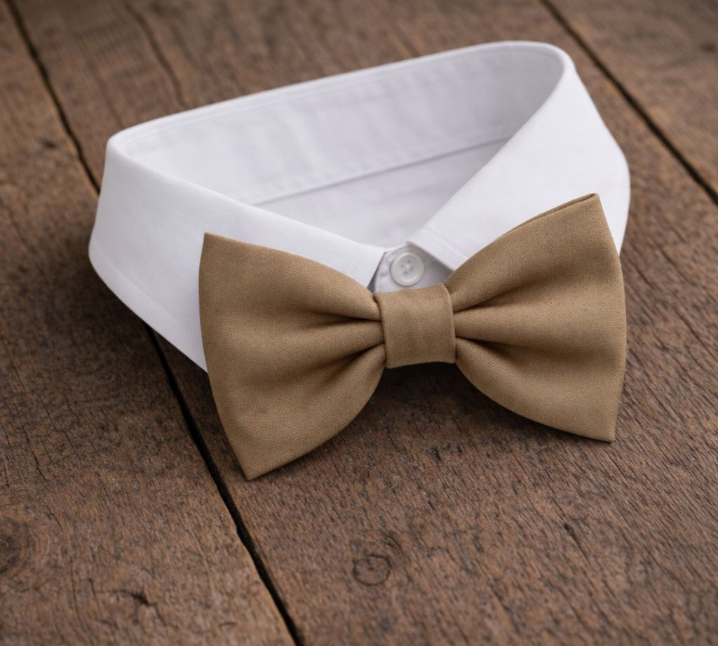 Fliege F31 Fliegen Atelier Treger 