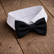 Fliege F34 Fliegen Atelier Treger 