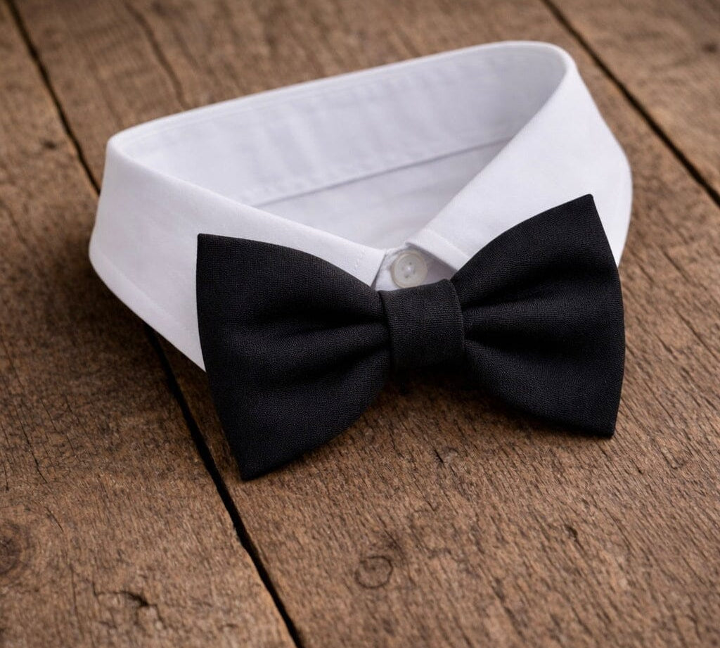 Fliege F34 Fliegen Atelier Treger 