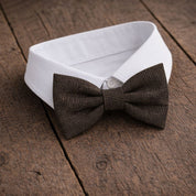 Fliege F37 Fliegen Atelier Treger 