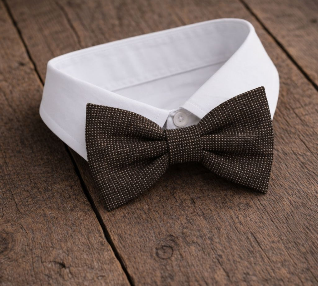 Fliege F37 Fliegen Atelier Treger 