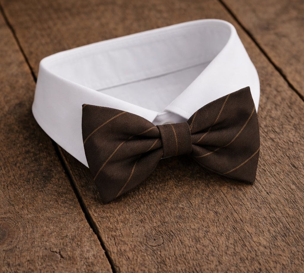 Fliege F38 Fliegen Atelier Treger 