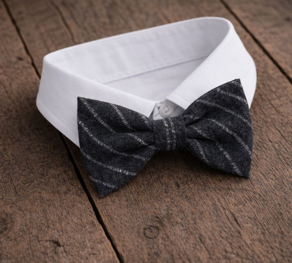 Fliege F39 Fliegen Atelier Treger 