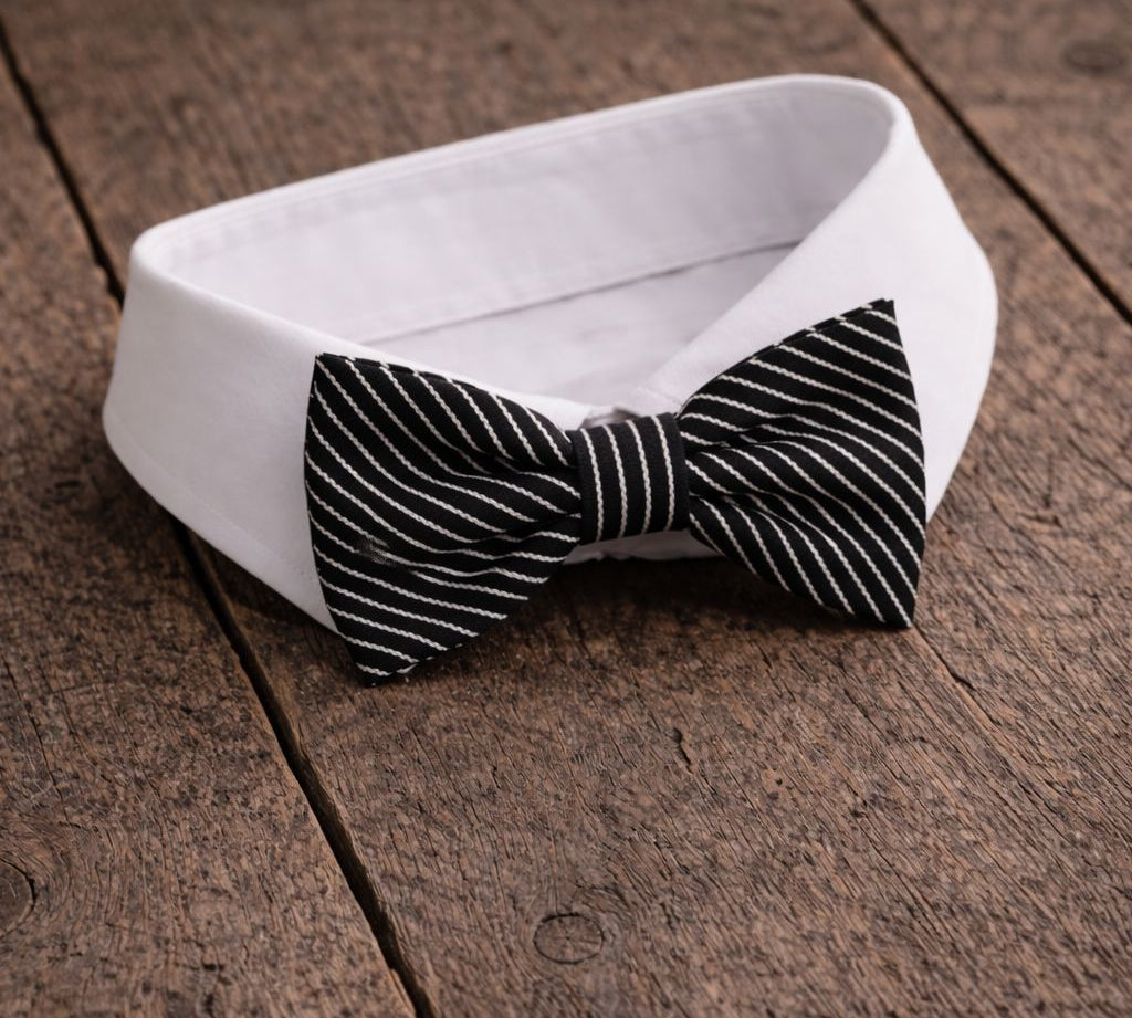 Fliege F41 Fliegen Atelier Treger 