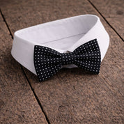 Fliege F44 Fliegen Atelier Treger 