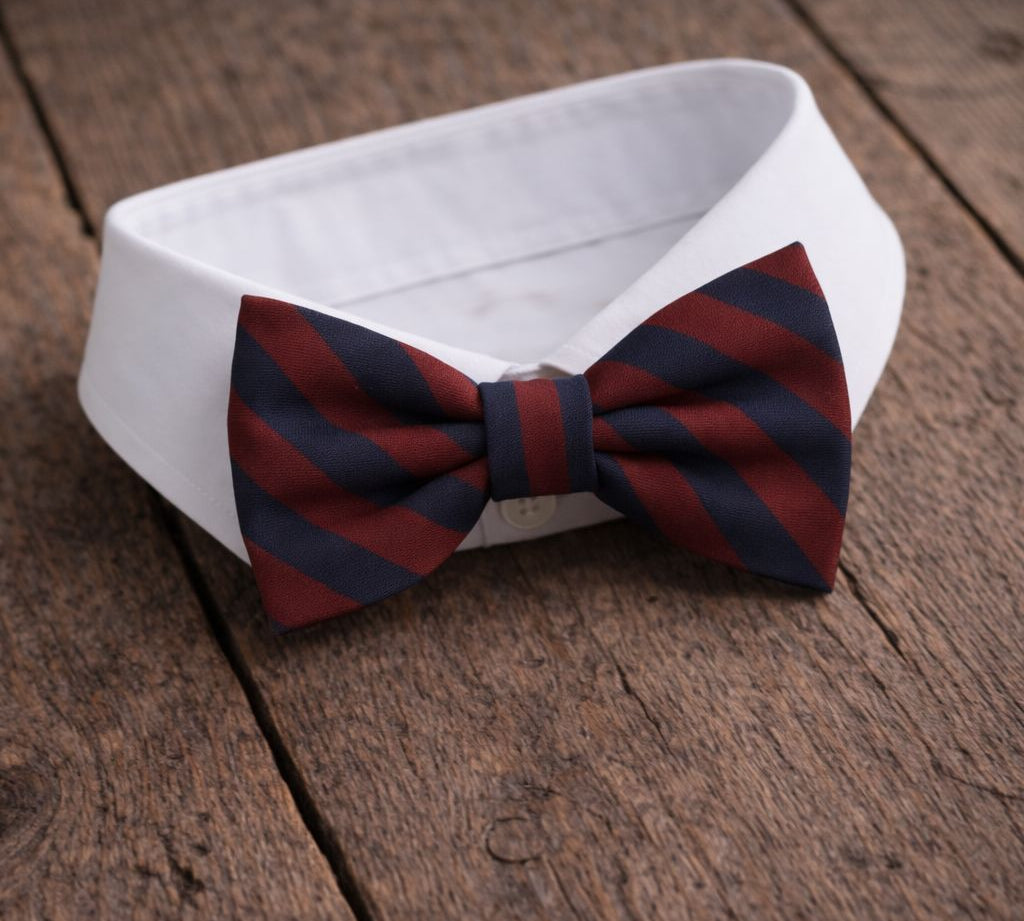 Fliege F50 Fliegen Atelier Treger 