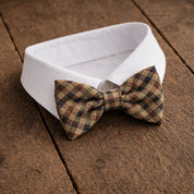 Fliege F56 Fliegen Atelier Treger 