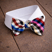 Fliege F60 Fliegen Atelier Treger 