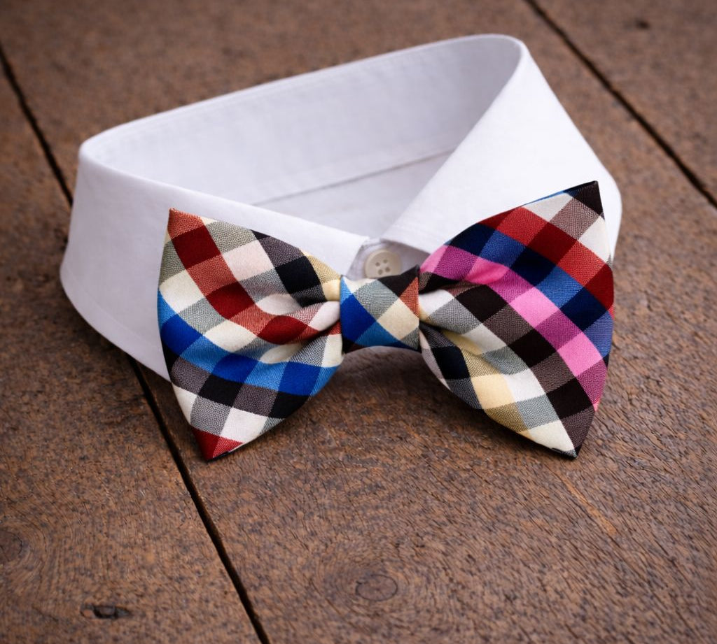 Fliege F60 Fliegen Atelier Treger 