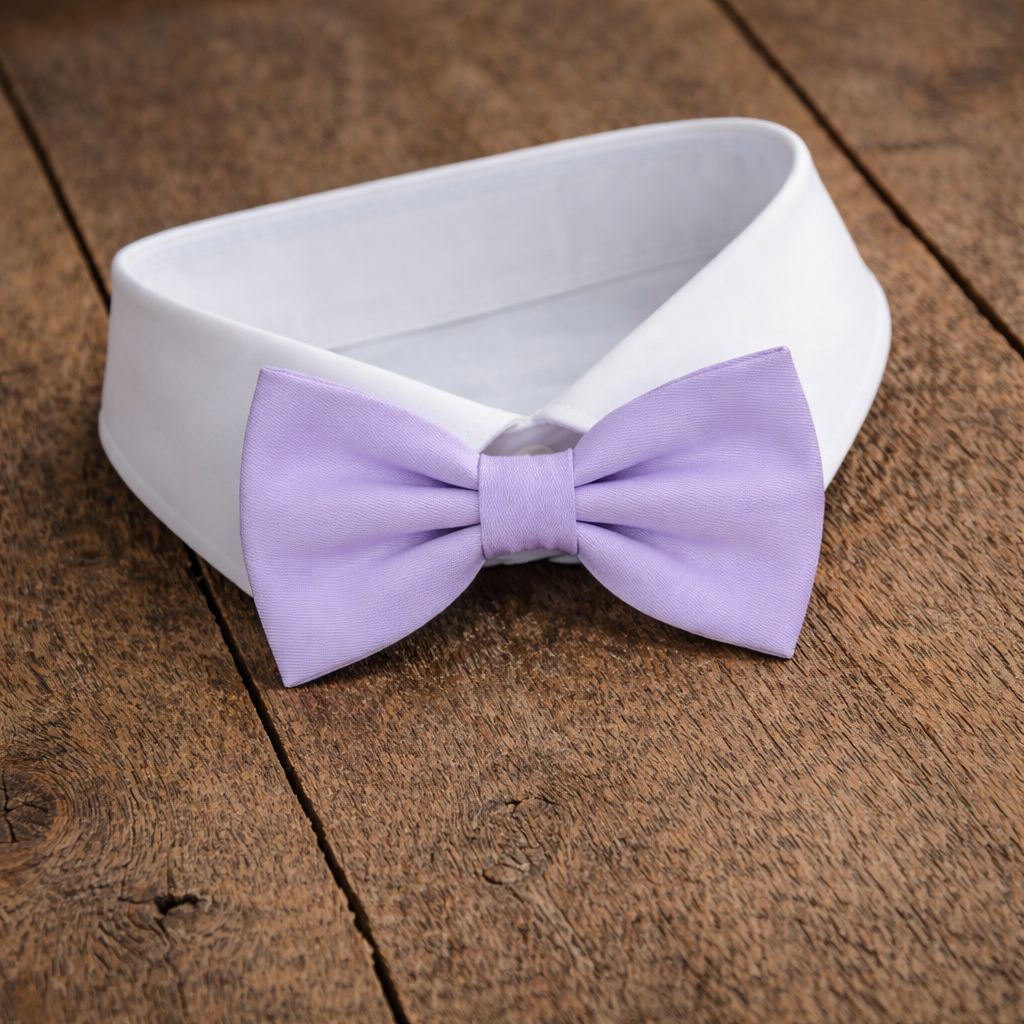 Fliege F69 Fliegen Atelier Treger 