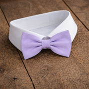 Fliege F69 Fliegen Atelier Treger 