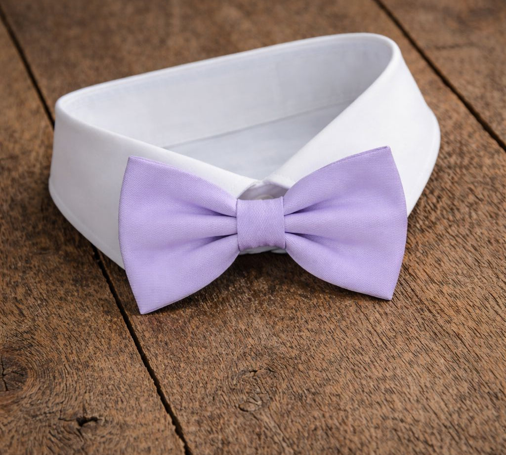 Fliege F69 Fliegen Atelier Treger 