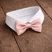 Fliege F70 Fliegen Atelier Treger 