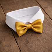 Fliege F71 Fliegen Atelier Treger 