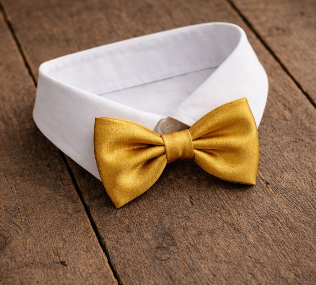 Fliege F71 Fliegen Atelier Treger 