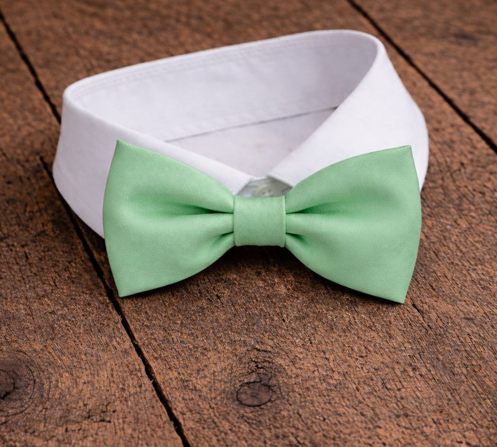 Fliege F72 Fliegen Atelier Treger 