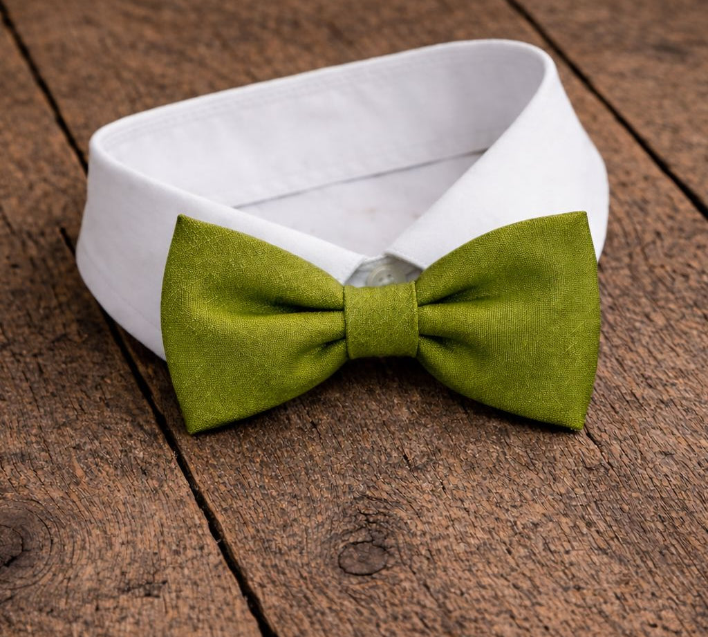 Fliege F73 Fliegen Atelier Treger 