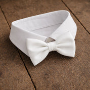 Fliege F76 Atelier Treger 