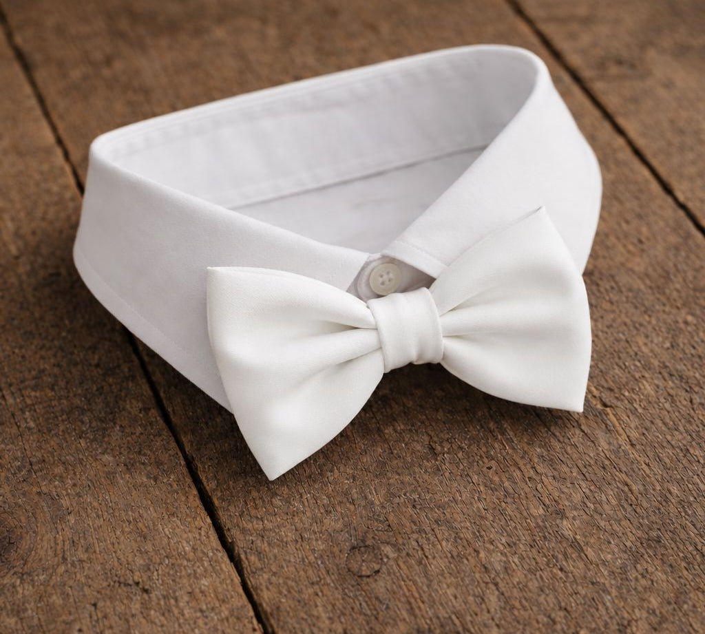 Fliege F76 Atelier Treger 